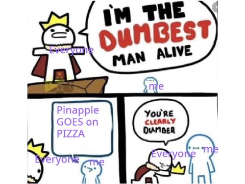 PINAPPLE GOES ON PIZZA