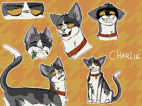 crunchy cats because im fueled by stress