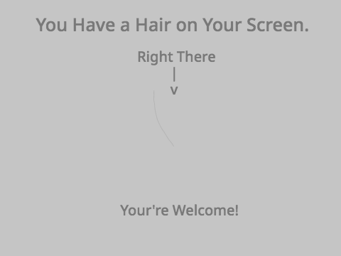You Have a Hair on Your Screen.