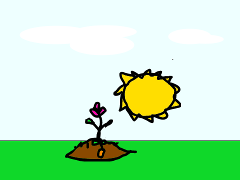 germination animation of plant