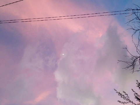 ✨o✨