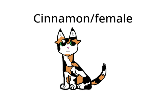 Closed! Name this cat plz