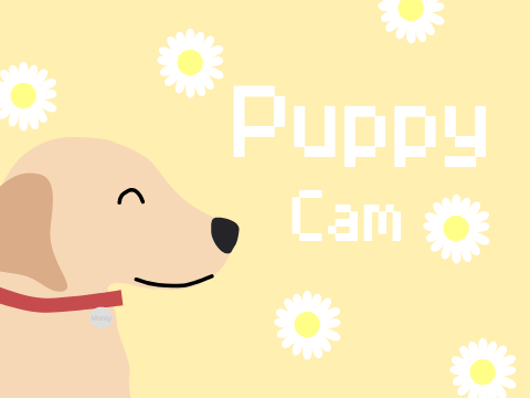 ✧･ﾟ: * Puppy cam * :･ﾟ✧