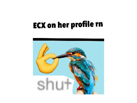 Dum meme