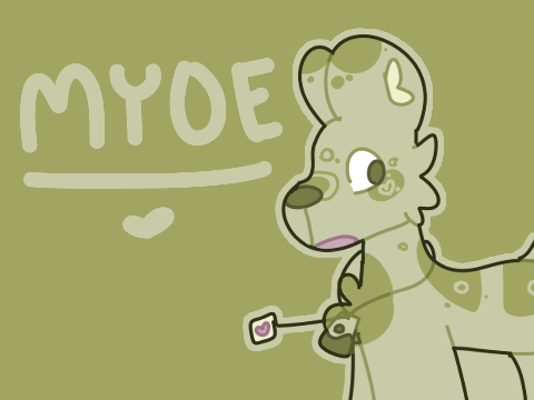 24 HOUR COMMON MYOE