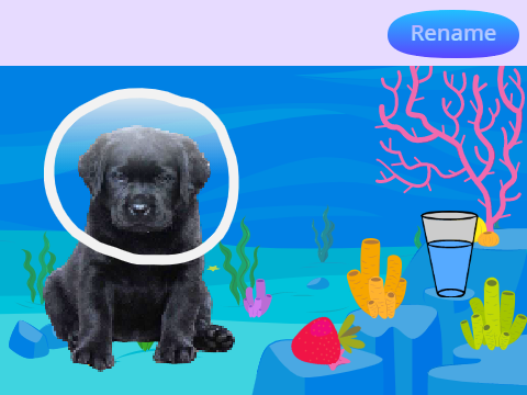 Care for the Underwater Dog -- I have a reason