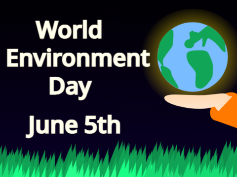 World Environment Day!