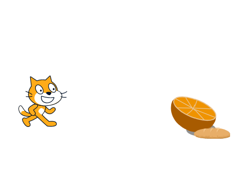 the cat wants food