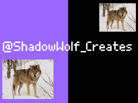 Intro for @ShadowWolf_Creates