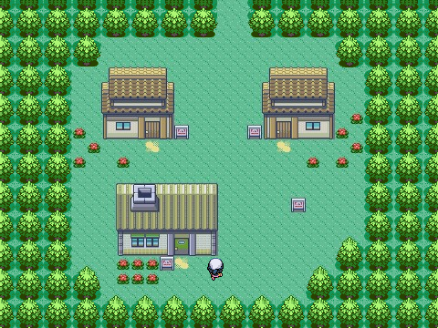 Pokémon ???