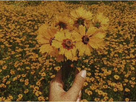 ✦