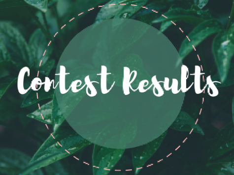 Contest Results!