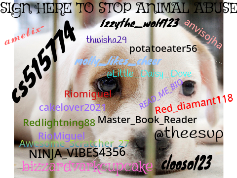 SIGN HERE TO STOP ANIMAL ABUSE #animals