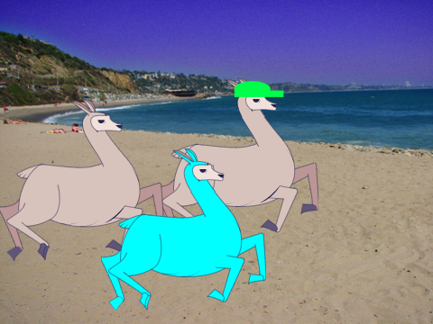 Llama's 4