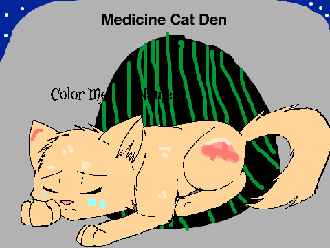 Sad Cat CCE