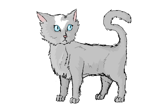 Cat Head Turning Animation