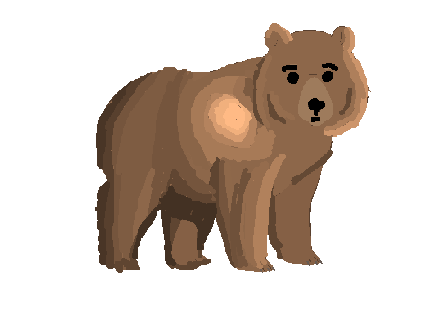 bear block shade
