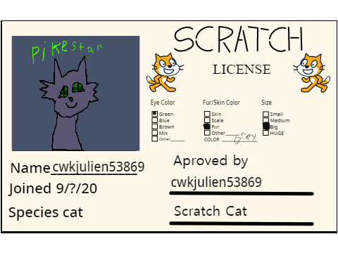 MY SCRATCH LISENCE