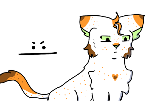 r a n d o m c a t