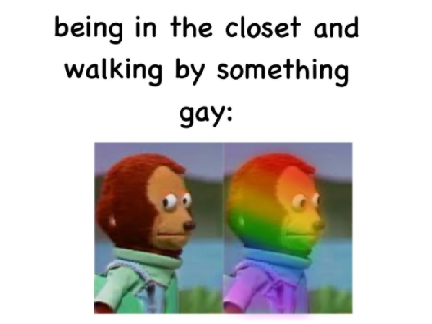 Gay Memes :)