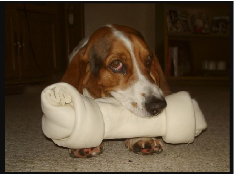 Oversized bone