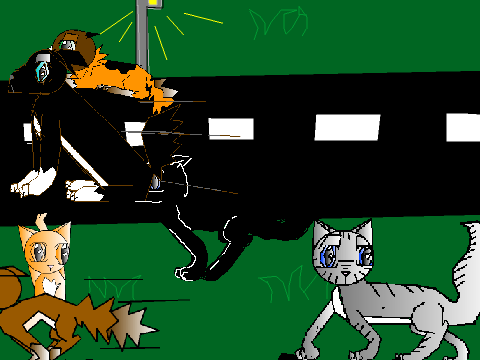The cats attacking the dog ( unfinished ) 