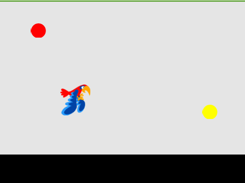 Bird Ball Color Change
