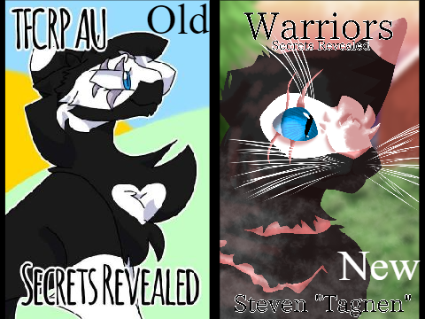 Secrets Revealed [2020-2021 Improvement]