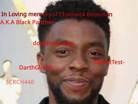 Sign if you miss them 2: Chadwick Boseman