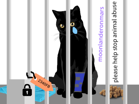 help stop animal abuse remix