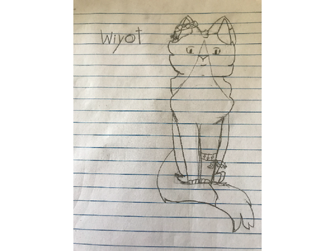 c a t