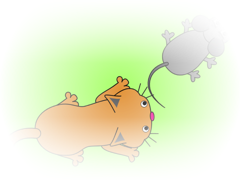 Cat & Mouse