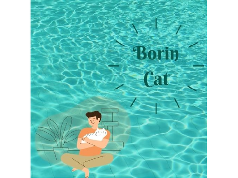 BorinCat's logo