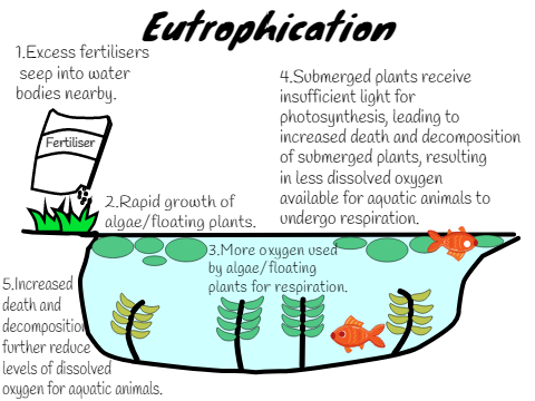 How to save the Earth (Water pollution) podcast 3