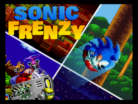 Sonic Frenzy 