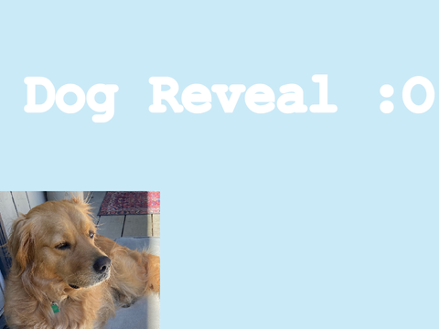 Doggo reveal