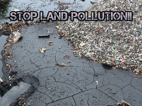 How to save the Earth (Land pollution) podcast 4