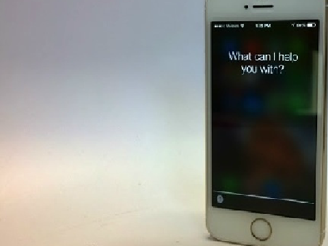 Scratch Siri!