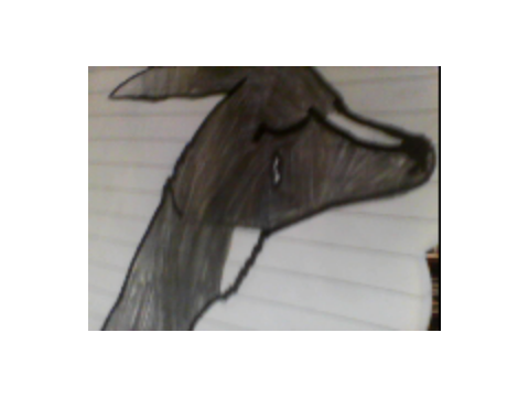 Drawings i made