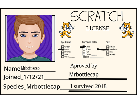 My scratch license