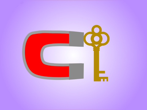 Magnet Simulator