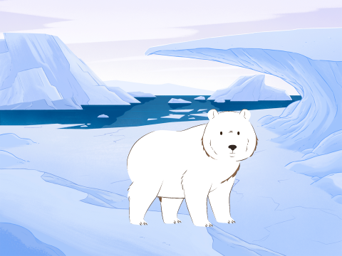 Save Polar Bear!!!!!!