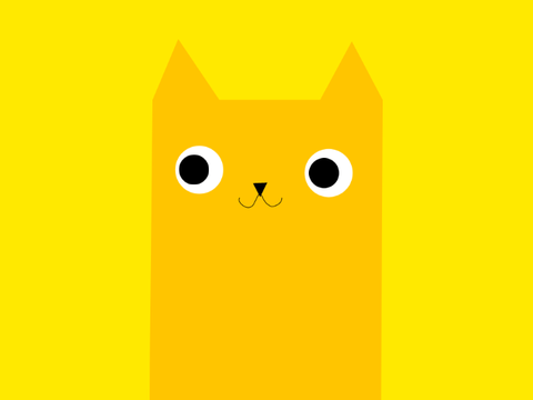 kitty