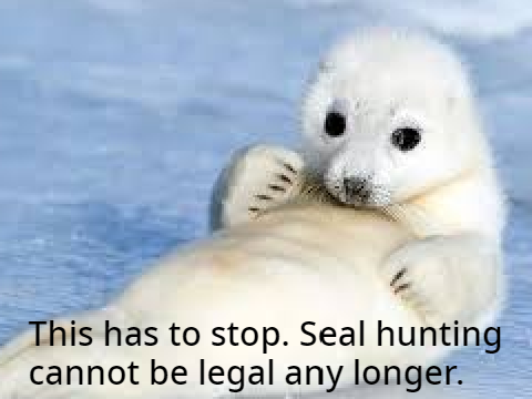Save The Seals! remix