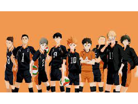 Karasuno Volleyball Team- Warriors