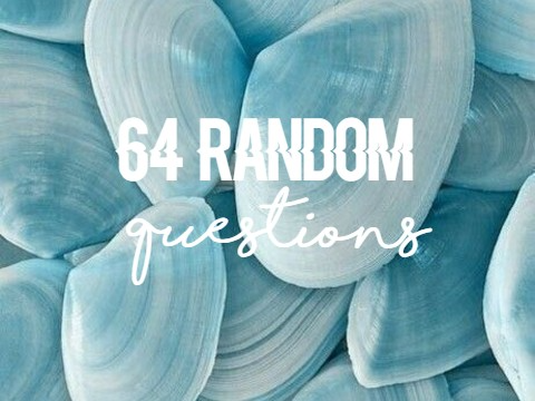 · 64 Random Questions Tag ·