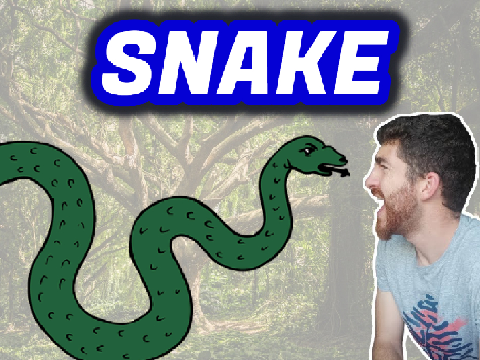 Snake Game