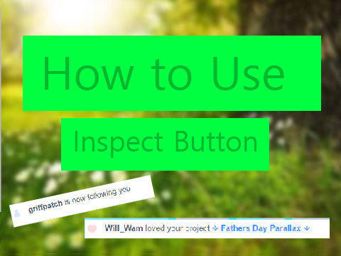 How To Use 'Inspect Button'