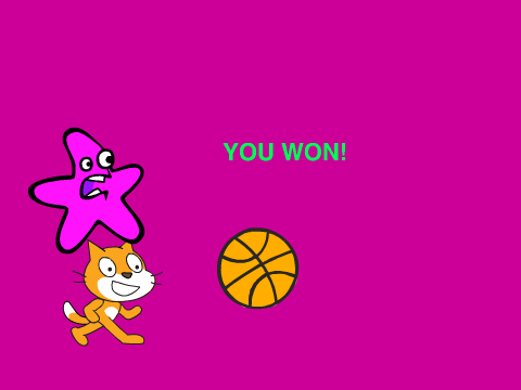 Hit the Cat with the Basketball (Completely Random)