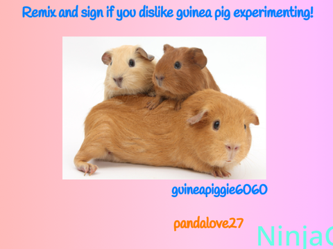 Remix and sign if you dislike guinea pig experimenting!  remix remix